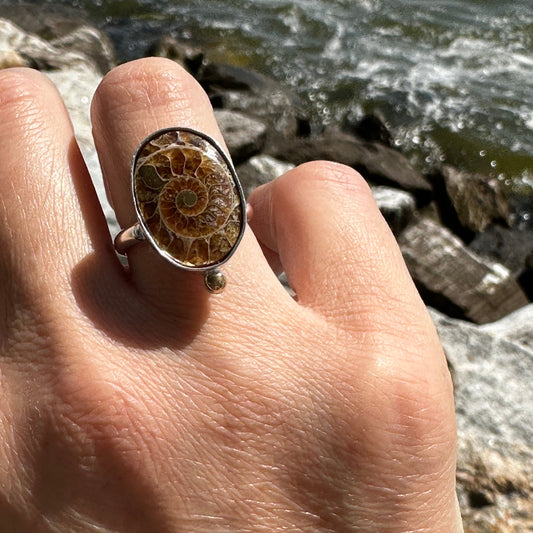 Single Fossilized Ammonite Ring (Finish in Your Size)