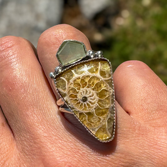 Aquamarine and Fossilized Ammonite Ring (Finish in Your Size)