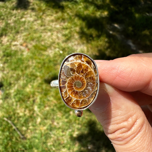 Single Fossilized Ammonite Ring (Finish in Your Size)
