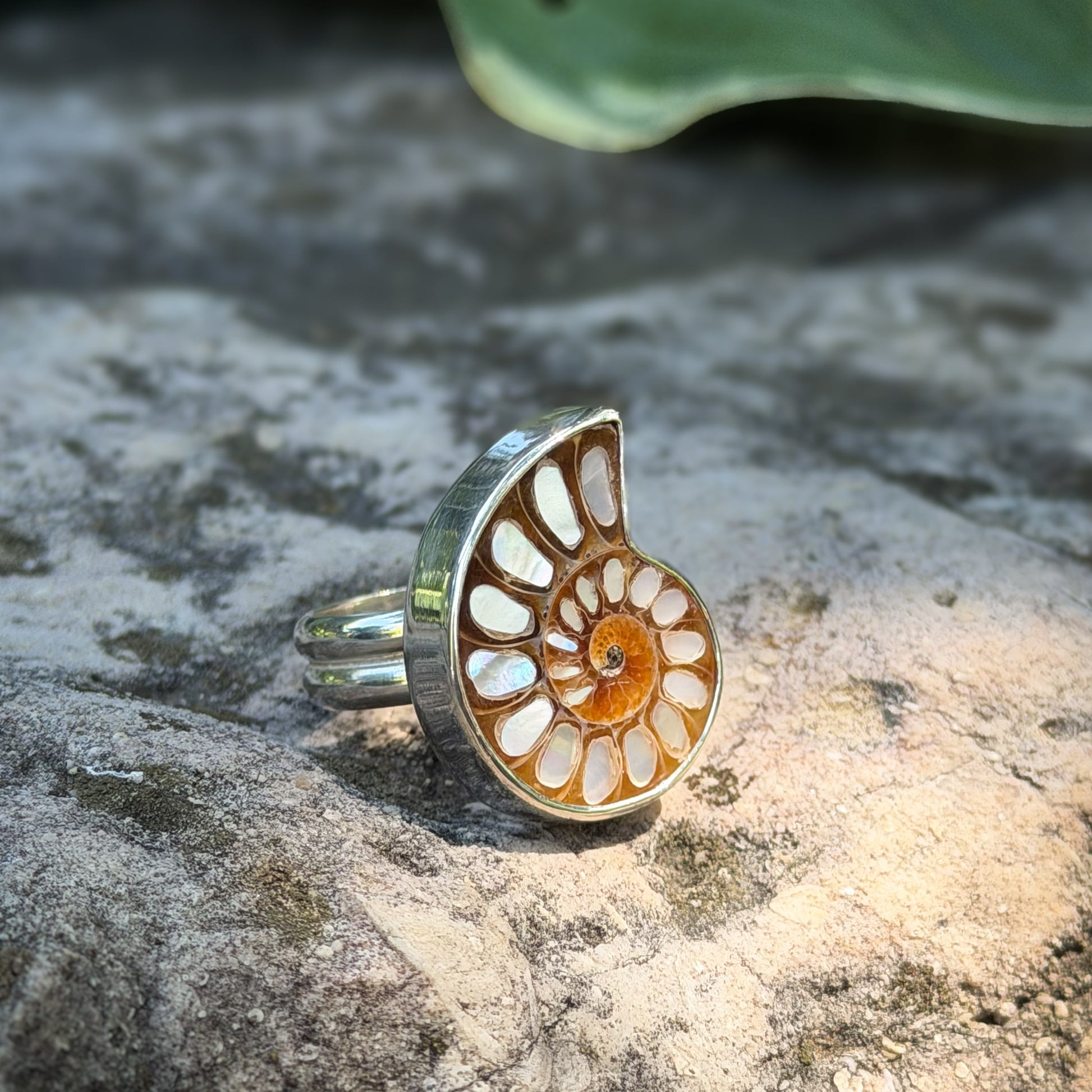 Ammonite fossil with inlaid mother of pearl ring set in sterling silver. Natural Earth Collective Ohio