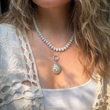 Nautilus shell pendant and stud earrings wrapped in sterling silver. Natural earth collective, Ohio