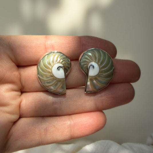 Nautilus shell pendant and stud earrings wrapped in sterling silver. Natural earth collective, Ohio