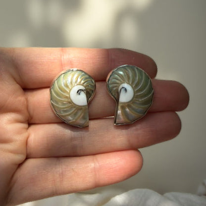 Nautilus shell pendant and stud earrings wrapped in sterling silver. Natural earth collective, Ohio