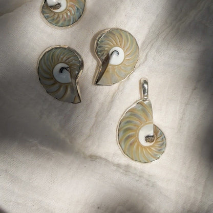 Nautilus shell pendant and stud earrings wrapped in sterling silver. Natural earth collective, Ohio