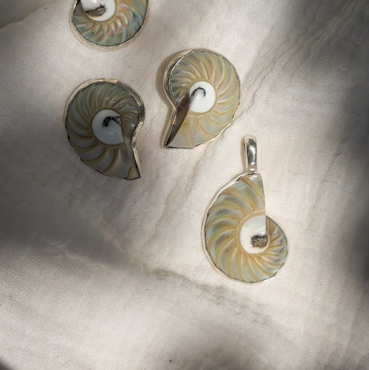 Nautilus shell pendant and stud earrings wrapped in sterling silver. Natural earth collective, Ohio